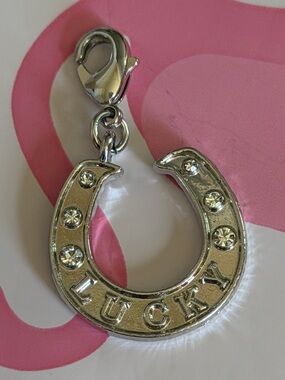 🧲Paparazzi Lucky Horseshoe Rhodium Charm